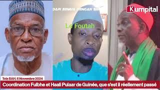 Coordination des Fulbhe et Haali Pulaar de Guinée , que s'est il réellement passé