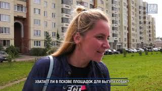 #Опросник ПАИ: Хватает ли в Пскове площадок для выгула собак?