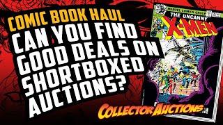 Comic Book Haul - Can You Find Good Deals on Shortboxed Auctions?