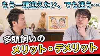 もう１頭飼いたい？なら絶対確認してほしい【多頭飼いのメリット・デメリット】をペットショップ店長が解説します！