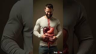 Digestive System Animation | Human Anatomy 60 #humanbody