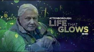 David Attenborough | Life That Glows | Bioluminescence