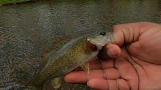 Creek Fishing in North Alabama!