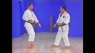 Goju ryu kata. Seiyunchin. bunkai