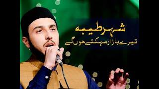 Naat E Paak | Shahr e Taiba tery bazar mahakty hon gy | Shaykh Hammad Mustafa Qadri