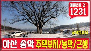 아산 송악 토지 매매