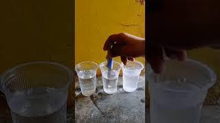 Simple Science Experiment | Salt Water Vs Normal Water | Easy Science Experiment,Expert XYZ #shorts