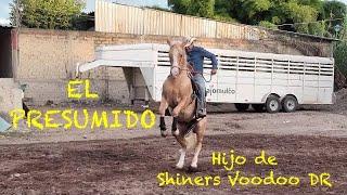 EL PRESUMIDO y Juan Ramos - Potro 2022 hijo de Shiners Voodoo DR propiedad de Rancho Del Cielo