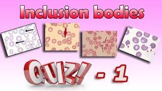 Inclusion Bodies Quiz