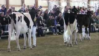 2012 Midwest Spring National Holstein Show