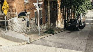 Darius King's "Alien Workshop" Part