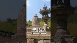 도굴꾼들에 의해 세상의 빛을 본 부처님 진신 치아사리 / 고성 건봉사
