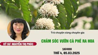 Chăm sóc cây cà phê ra hoa | Chuyện nhà nông | Livestream 05/03/2025