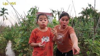 Lộc TiVi Ăn Dưa Chuột Và Bắt Cua | Funny videos #loctivi