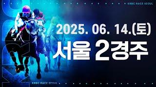 (서울) 2025.06.14 2경주