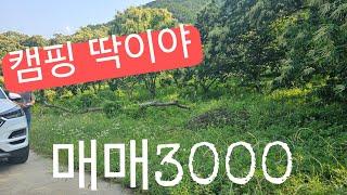 캠핑하기 딱좋은토지100평/330제곱미터
