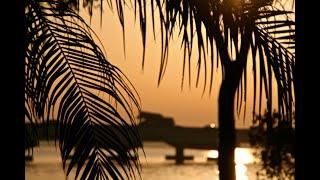 Real Estate Agents Marco Island  Real Estate Agent Southwest Florida    Real Estate Company Naples