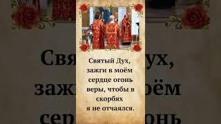 Святый Дух, зажги в моём сердце огонь веры, чтобы в скорбях я не отчаялся.