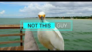 Manta Films Video Production Naples, Florida