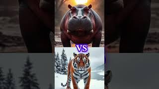  ANIMAL Video #ai #animals #animallife #hybridanimals