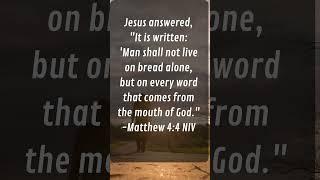Matthew 4:4 - Collide Media Group | Purpose Life Now