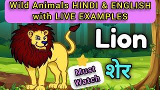 Wild Animals Hindi & English with live examples | Names of Wild animals | WATRstar