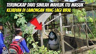 kejadian di lamongan yang lagi viral awalnya saat membuat sumur temukan goa mirip istana