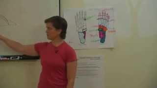 Plantar Fasciitis - Amy Matthews [EmbodiedAnatomy.net]