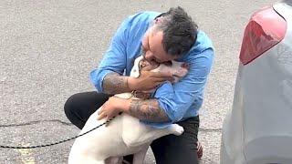 Man learns his adopted dog is someone else's. His response is perfect.