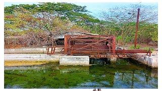 The FORGOTTEN Sugar Mill & OLD River Bulk Warehouses || where in Jamaica is this?