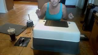 Fancy litter box review   you need this for your cats