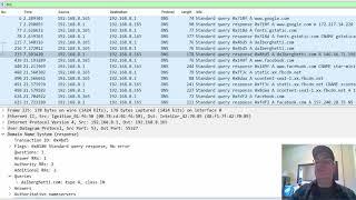 DNS application layer packets in Wireshark