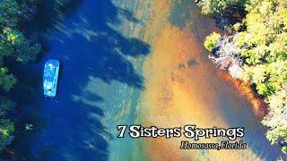 Soaring Over Serenity: The Beauty of 7 Sisters Springs in Homosassa, Florida