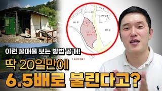 20일만에 6.5배 수익내는 노른자 땅 알아보는 법! 이 영상에 다 담았습니다!