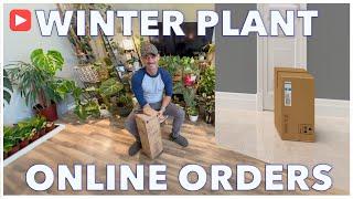 Rare Plant Delivery: Ordering Plants Online Safely ️🪴