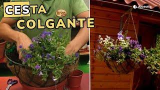 Cesta colgante para plantas: Descubre cómo hacerla paso a paso // Jardinatis