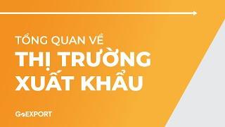 Tổng Quan Về Alibaba | Đào Tạo GoEXPORT (Training)