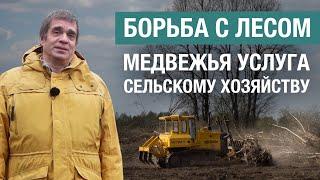 Как борьба с лесом на сельхозземлях провоцирует запустение земель в Нечерноземье