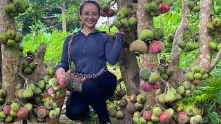 FULL VIDEO:180Days giant honey figs attract ants because of the honey, go to the market to sell figs