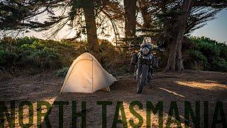 The last day on the island, solo motorbike camping Tasmania on a Royal Enfield - S1-E13