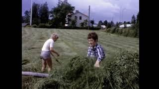 Höbärgning i Bjurholm sommaren 1966