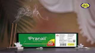 Cycle Pranali Jain Dhoop