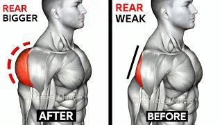 How To Grow Your Rear Delt (15 Key Exercises)