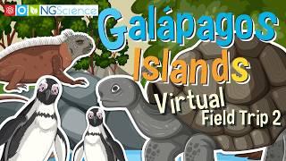 Galápagos Islands – Virtual Field Trip 2