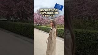 Приходи на бесплатную консультацию по поступлению в университеты Германии  #вузыевропы #вузы