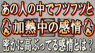 個人鑑定級に細密に視たあの人の中で沸々と加熱してる感情とは？