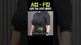 A컵-F컵 실제 가슴사이즈 총정리 #shorts