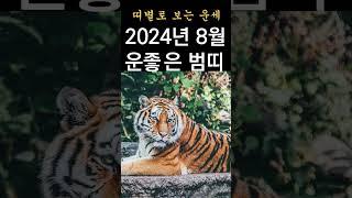 8월 띠별운세! 2024년 8월에 운 좋은 호랑이띠운세! 띠별로 보는 월별운세!