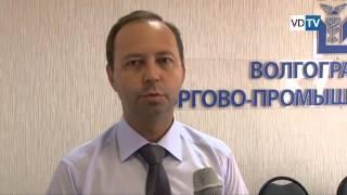 Создана группа в помощь развитию волгоградского бизнеса