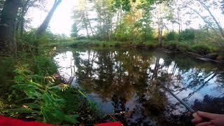 whopper plopper pike attack (līdakas cope)